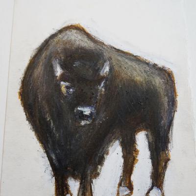 Desenho Pintura 21